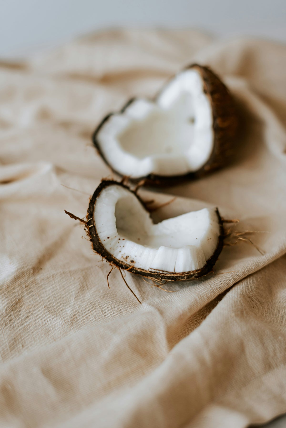 Elegant Coconut Cream 4 oz Illuminating Body Oil